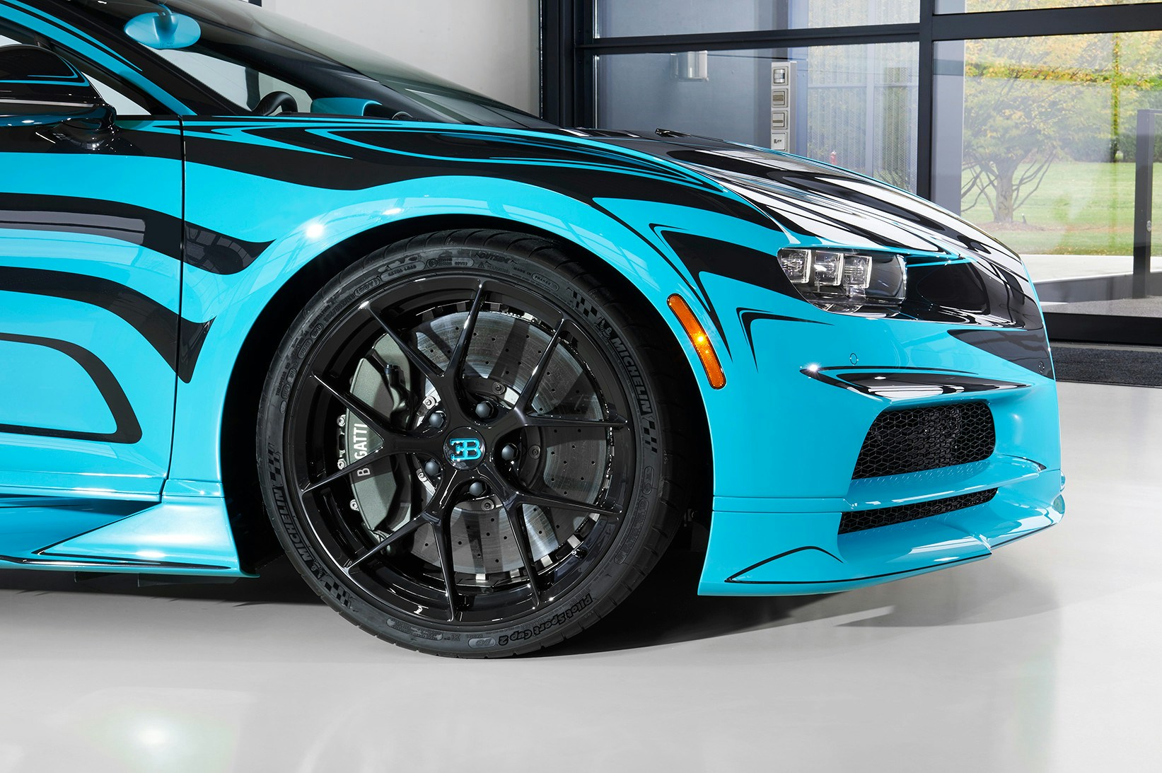 Chiron Zebra 1 of 1